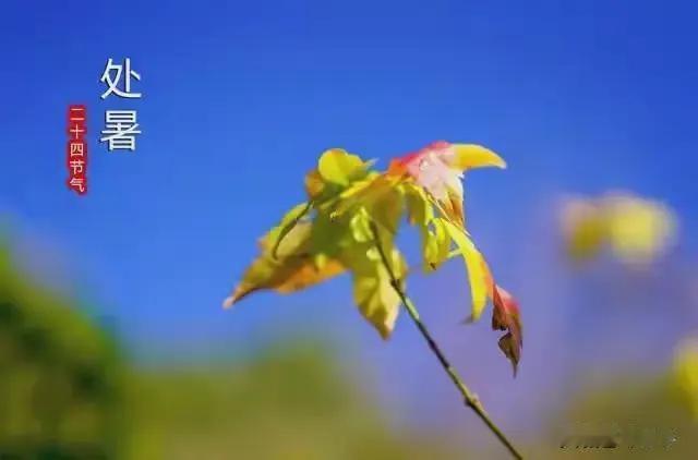 8月23日处暑，处暑不等于降温！今年真正凉快的时间表来了！8月23日迎来处暑