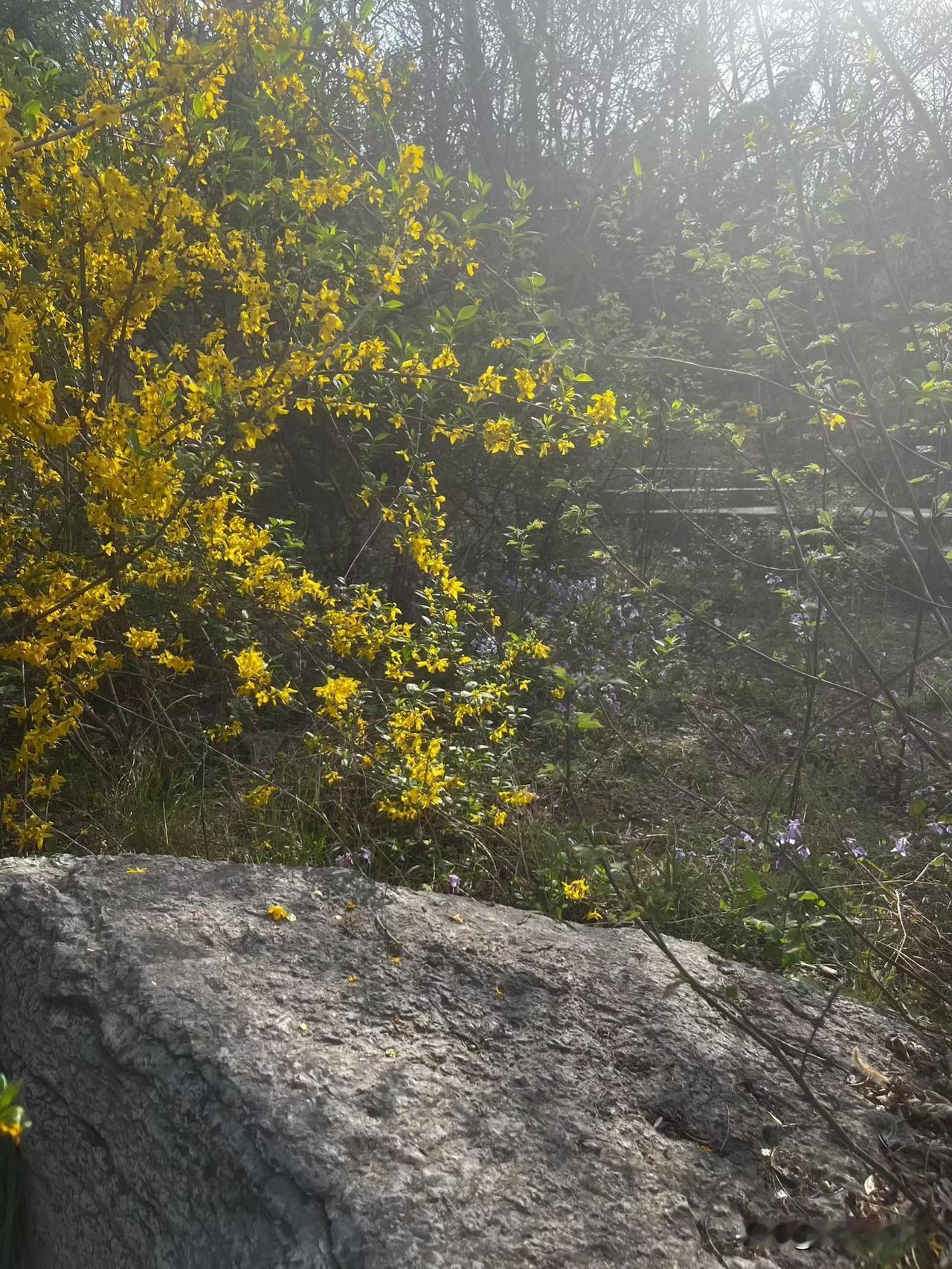 成熟的人都会10种为人处世方式：取悦自己是终身课题。1.见招拆招：问题是生活的