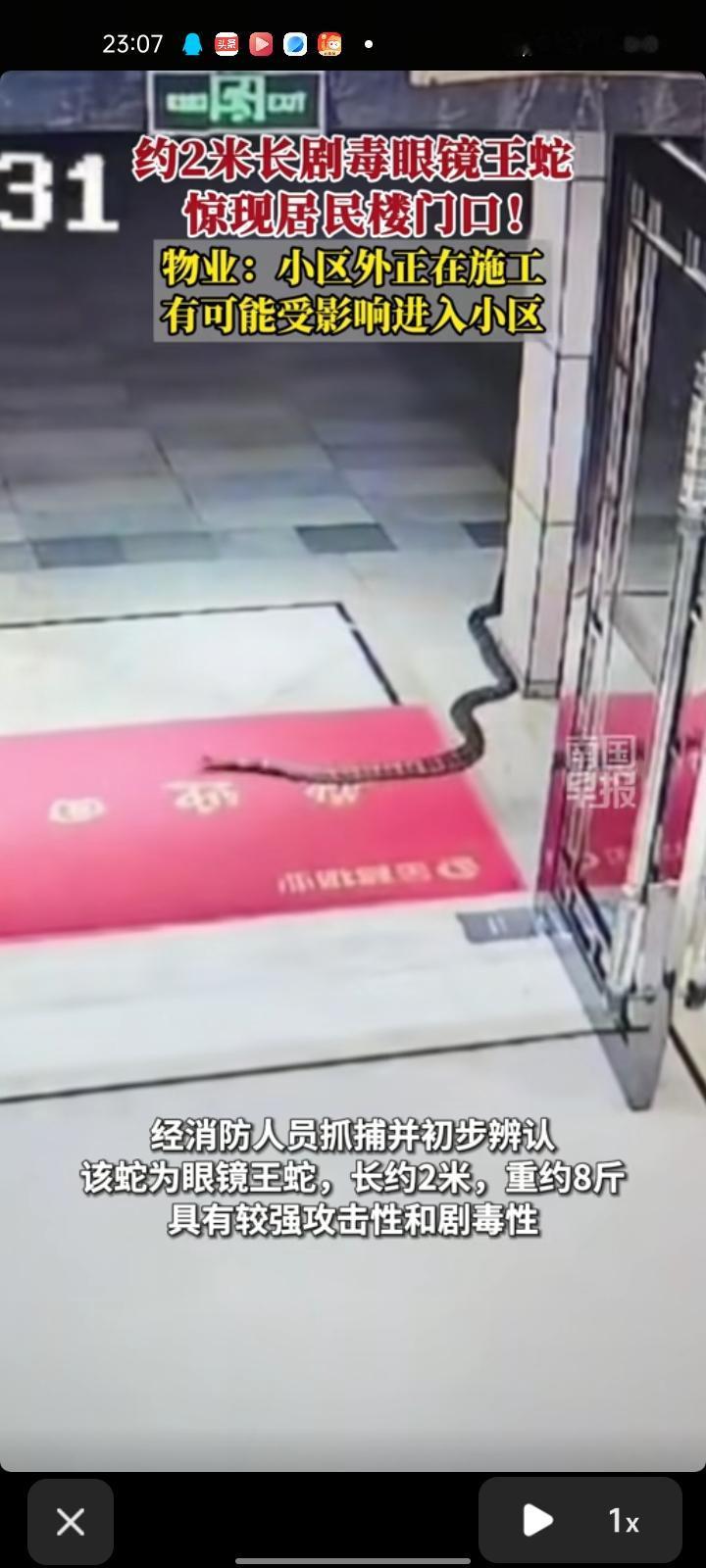 4月18日，惠州市惠东县。一小区居民门口出现一条长约两米、全身布满斑纹的大蛇，一