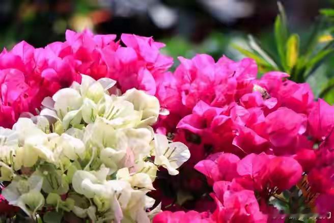 窗外细雨缠绵，岁月悄然溜走，仿佛一场无声的演奏，奏响人生的悲喜交加。人到中年，像