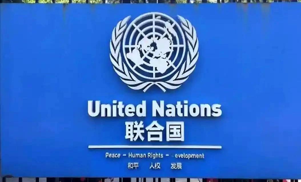 随着“国际调解院”在中国香港正式成立，又一个国际组织应运而生，从联合国到“二十国