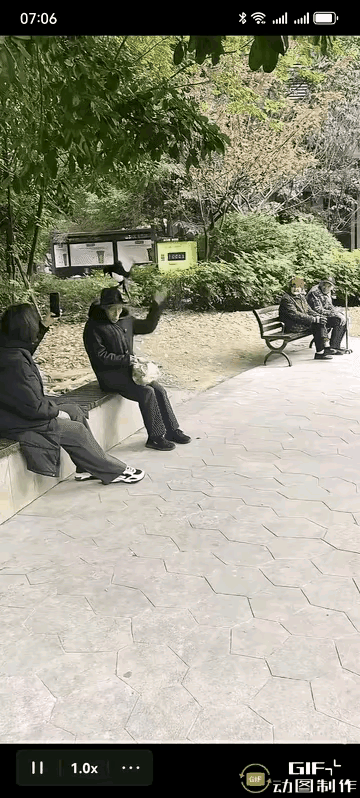 大爷经常投喂流浪猫，有人喜欢就有人烦。这不，因为流浪猫掏了喜鹊窝，吃了一窝鸟蛋。