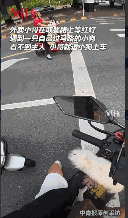 万物都有灵！”8月17日，广东韶关，一外卖小哥等红灯时，看到一条狗过马路，他随口