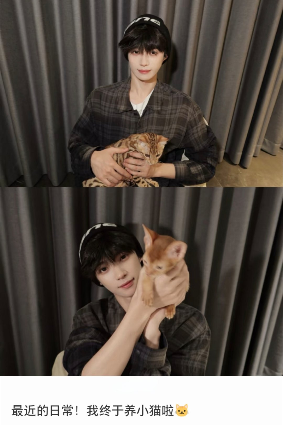 梓渝大鱼和小十一猫咪界的新星登场！大鱼和小十一在梓渝的怀抱里开始了它们的喵生新