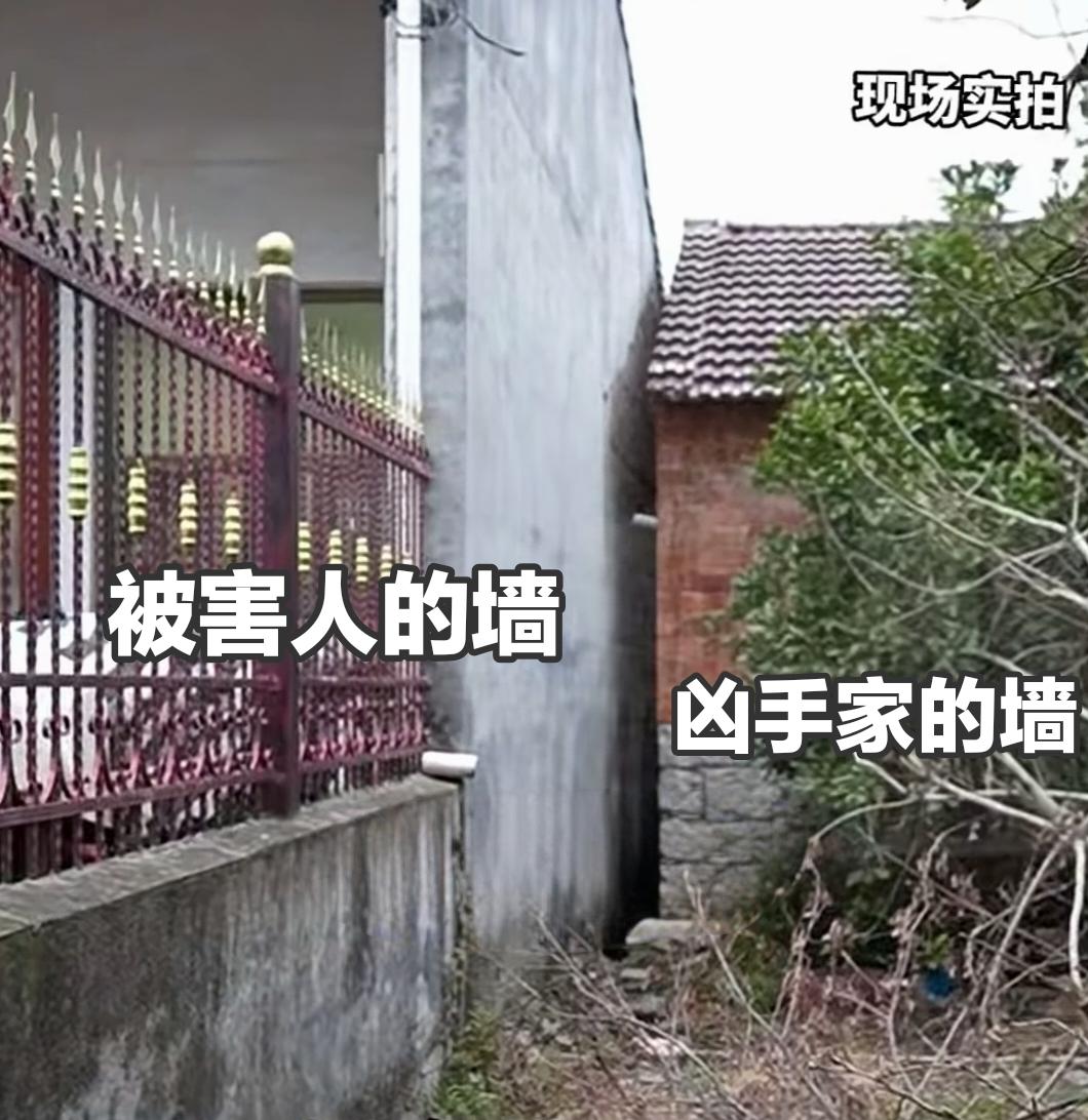 “必须严惩！”浙江天台，一男子翻修猪栏时，瓦片超出了边界几公分，导致邻居不满，产