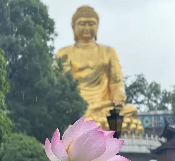 孩子放假了，我却开心不起来。我跟我老婆都在上班，平时都是我们自己在带孩子，这一放