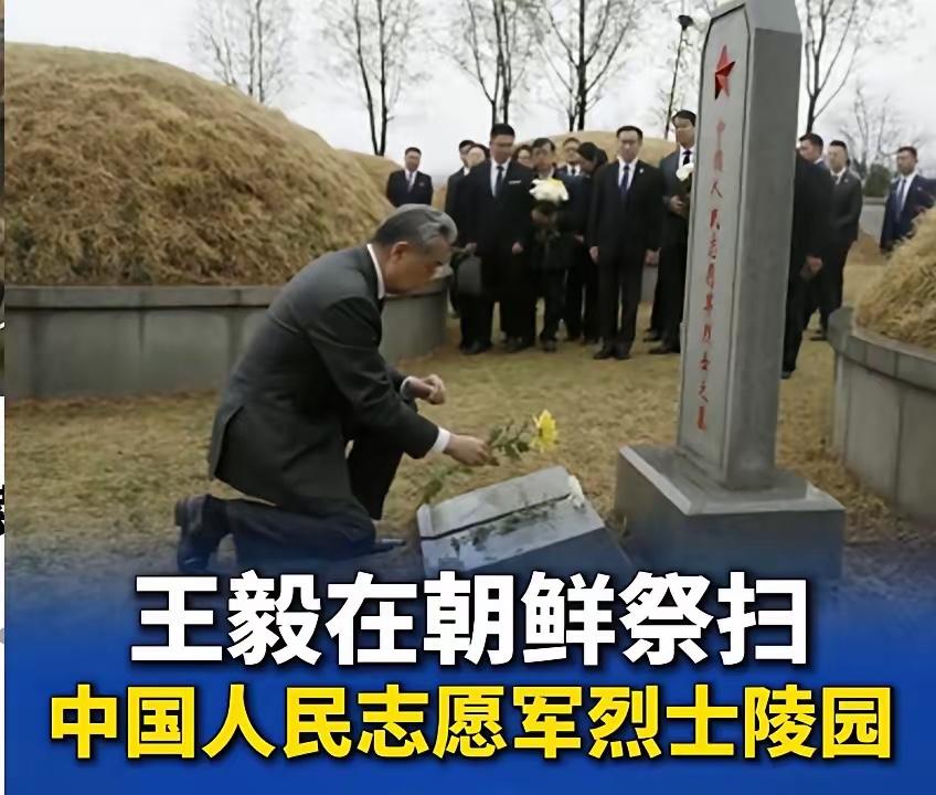 山河无恙敬忠魂，英雄热血永千秋千里奔赴祭忠骨，赤诚初心映山河。王毅外长这一躬