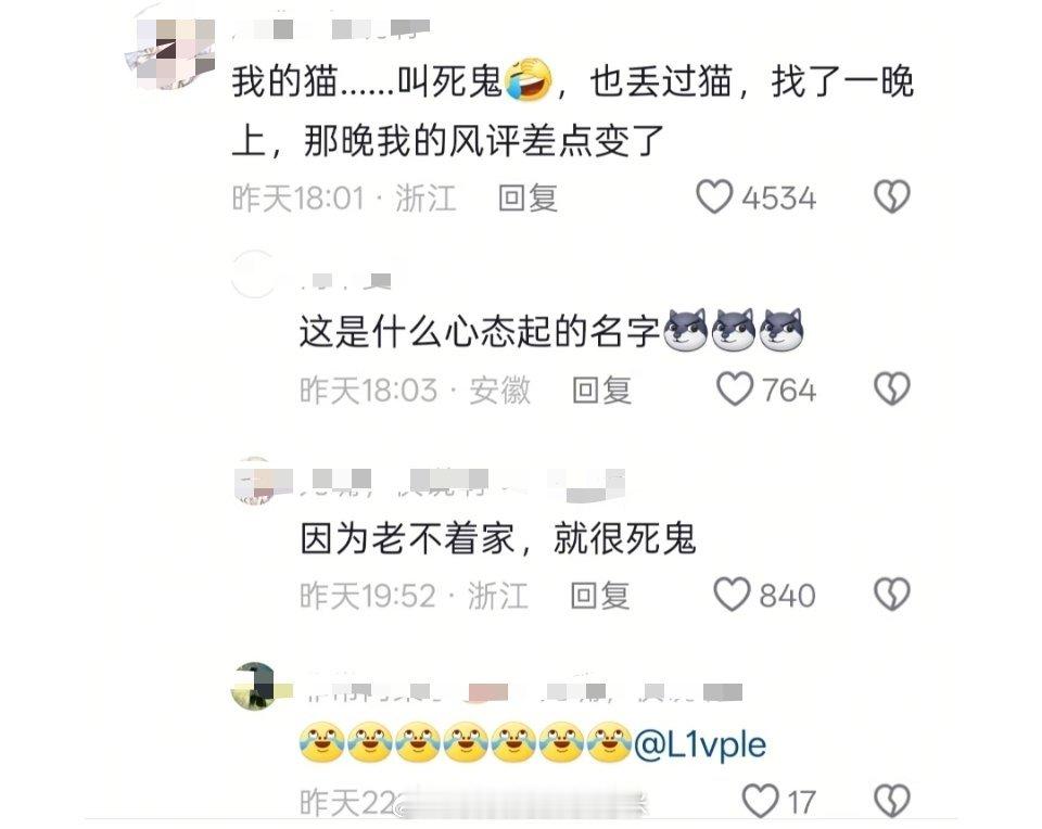 你们养宠物都起的什么名字？给宠物起名字不能光图有趣，要不然丢了的时候，真的是大型