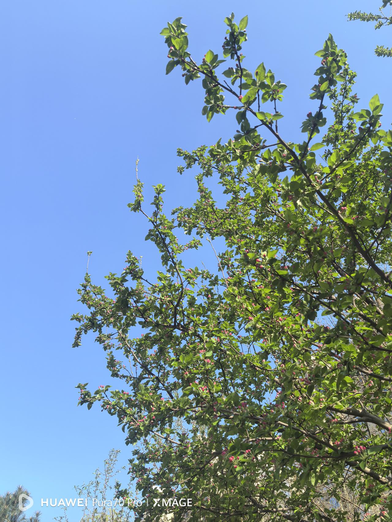 退休快一个月了，第一次回原单位，不是因私，而是为公。上级部门遇到一个老问题，