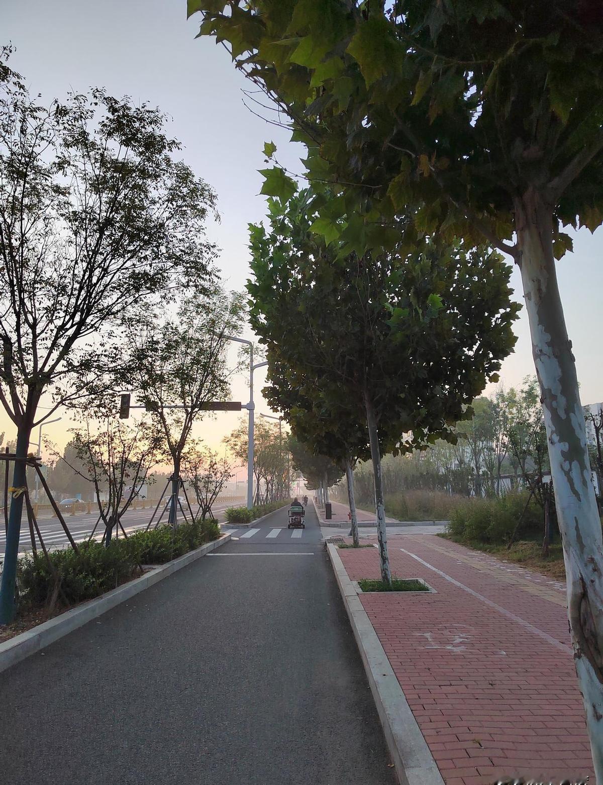 老板减持，不是套现，是跑路前的信号灯。新规卡得死，破发、破净、不分红的，连门都