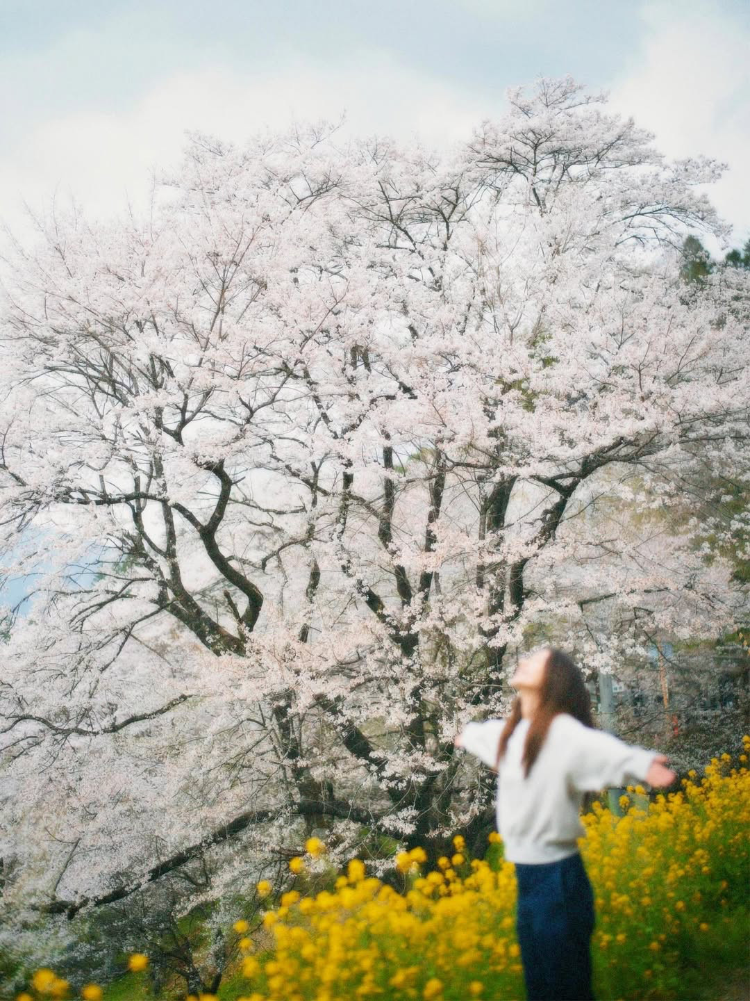 田馥甄生日发文表示新专辑有望今年发行！！！！田馥甄：「我是什么很幸运的人吗？」「