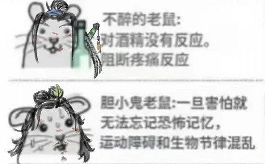 分享宾权老鼠