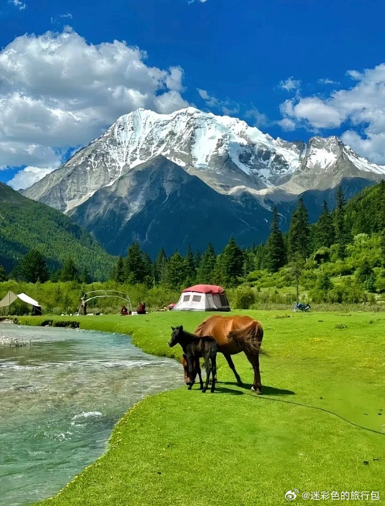 夏天的稻城亚丁美到失语！洛绒牛场青草铺满地，溪流映着仙乃日雪山。徒步抵达牛奶海，