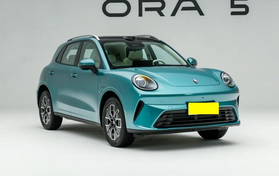 欧拉5预售了，10.98万起，起步纯电续航也有480公里，这个价格可能面对市场里