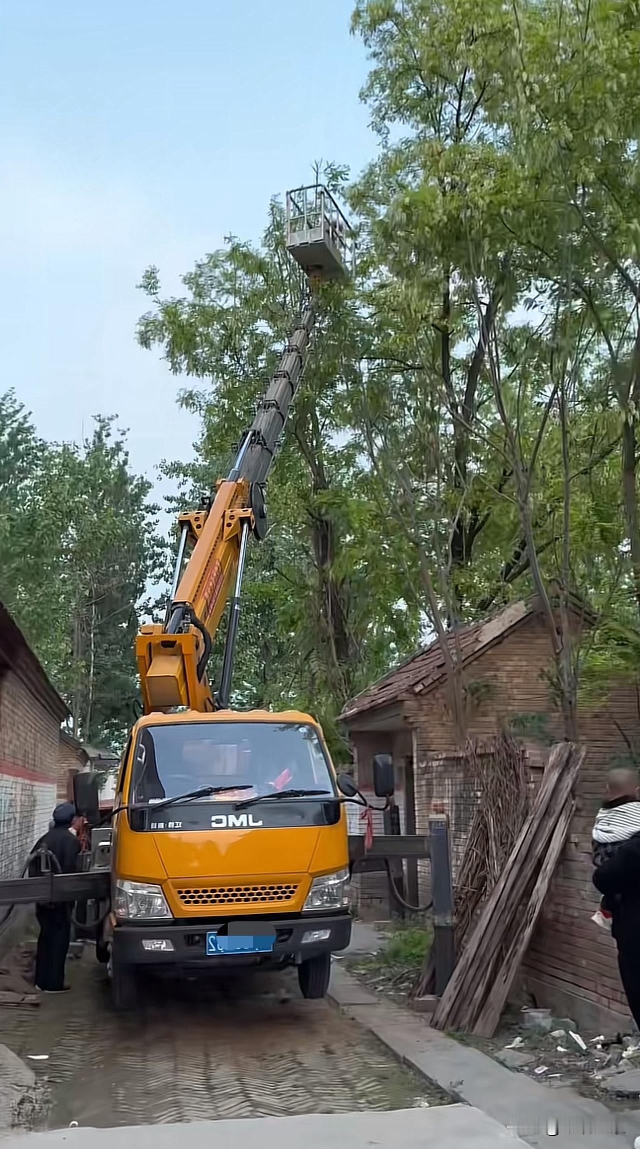 想尽一切办法，槐花还是要吃的[呲牙笑]