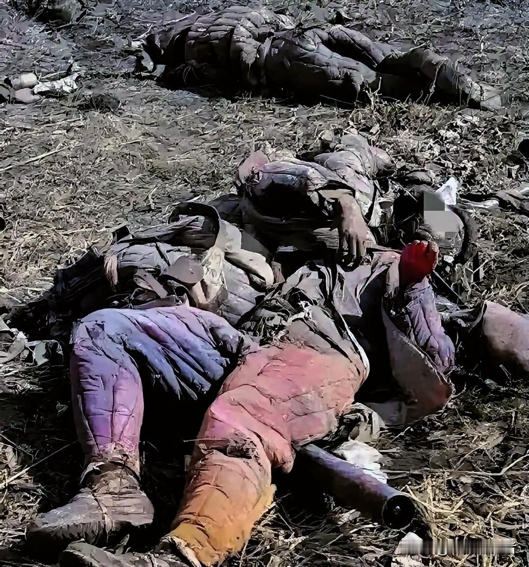 1952年朝鲜战场的秋天，一张照片让无数人红了眼眶。一名志愿军战士头部淌着血，身