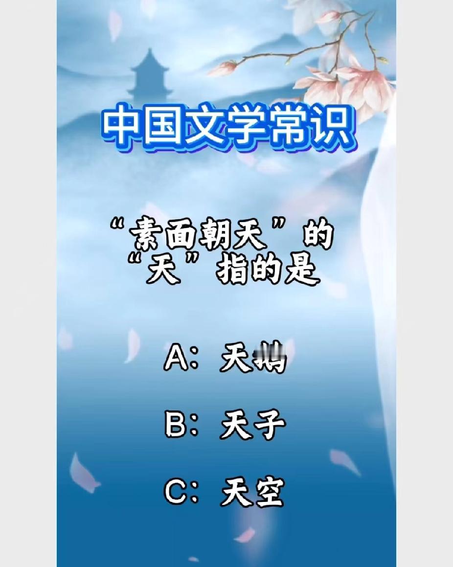 这题能难倒语文老师！“素面朝天”的“天”不是天空，你知道答案吗？