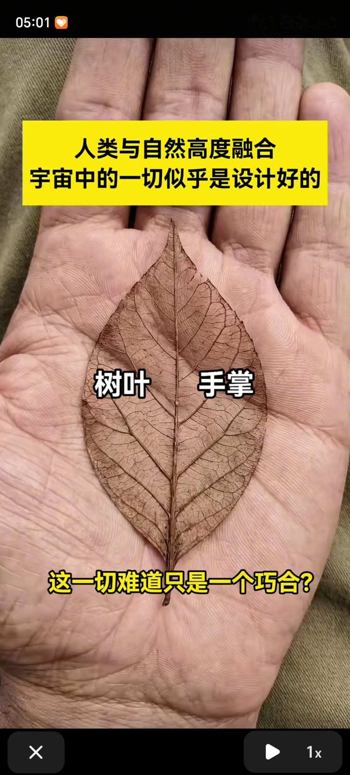 我突然发现自己可能只是一串自然代码！人体正常体温36.5℃，暗含一年365天。