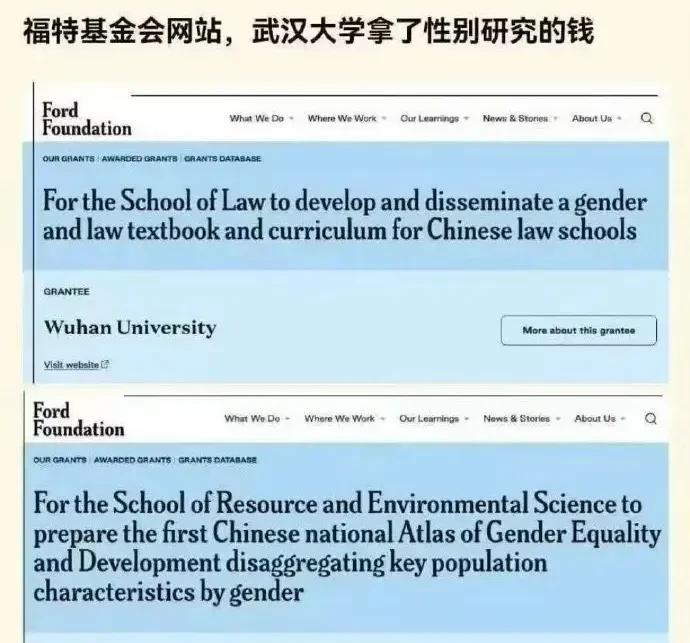 武大接受福特基金会已不是什么秘密，几万块美刀的小项目，目的也很简单，开发和传播性