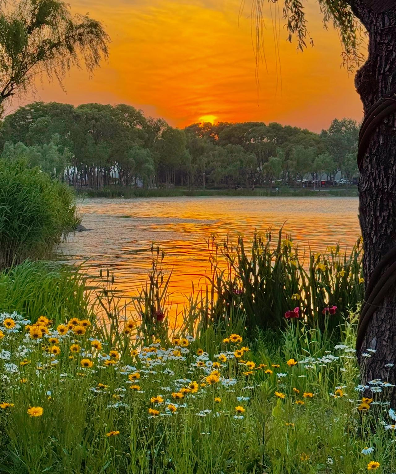 “男人要有自知之明，别贪心。娶骚的媳妇，就别怕帽子多；娶能干的媳妇就说人家强势；