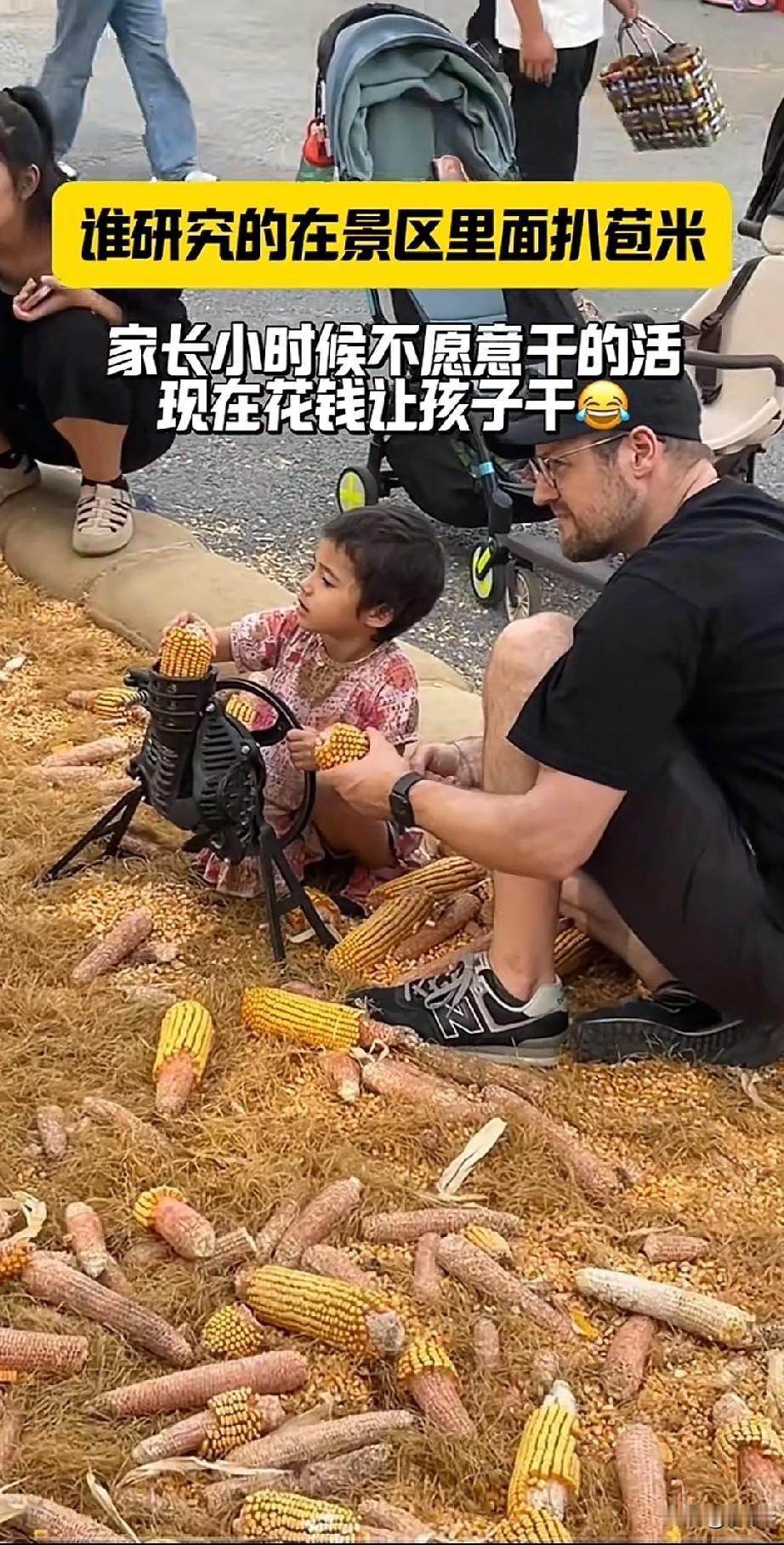 谁研究的景区里面剥玉米的，小时候不愿意干的活，现在孩子花钱干！一个景区里面