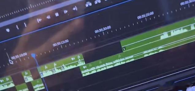 侦探帮我破案了！！！这段音频的内容是：黎阳：我一定要把这一段发给苏指导看。张昊泽