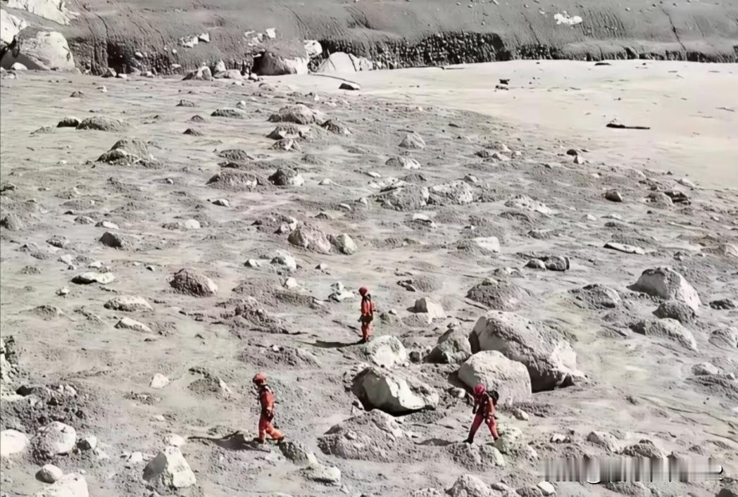 忽然能理解为什么恐龙突然灭亡，如果不是恐龙后期发现的化石，都不曾知道有这个物种…