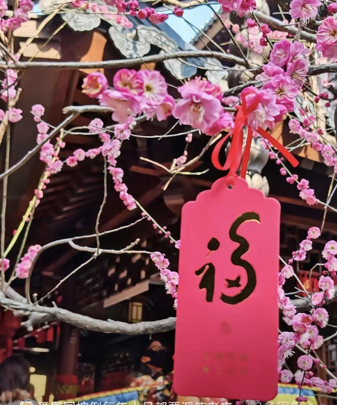 最近刷到个老段子，说1985年越南人腊月就放鞭炮，中国人一脸懵，后来才发现他们没