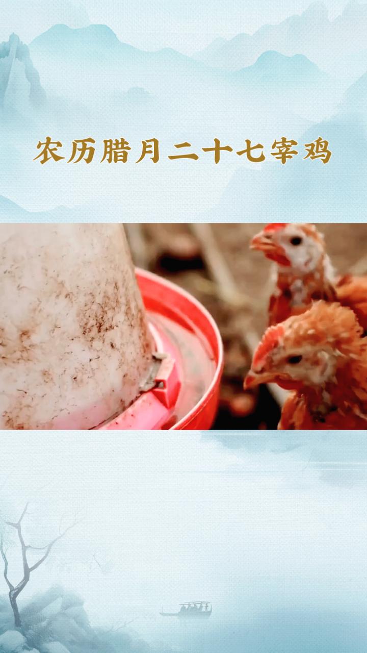 为什么在腊月二十七宰鸡？因为“鸡”与“吉”谐音，寓意大吉大利，家家户户都在准备迎