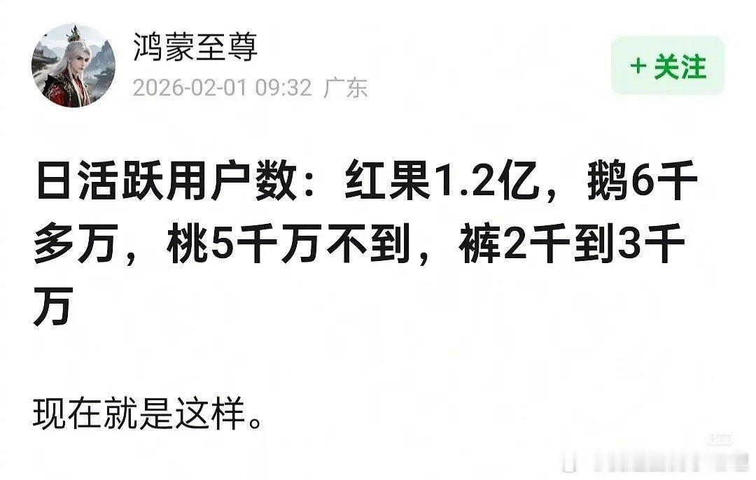 妈呀！红果的日活已经压了其他三大平台了，大家看哪个？
