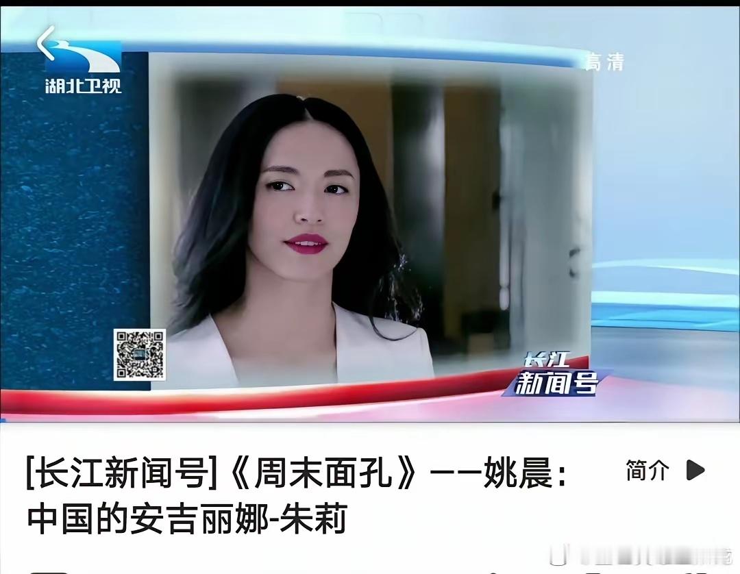 姚晨曾经被多家中外媒体评为中国的安吉丽娜朱莉。