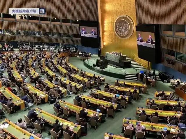 15票全票通过！联合国终于立下死规矩，中方把话彻底挑明：谁敢对维和部队下黑手，追
