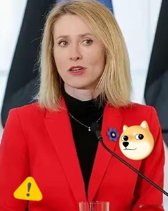 欧盟这扇门，突然焊死了！4月27日，欧盟直接出台强硬新规，全面开始清算行动