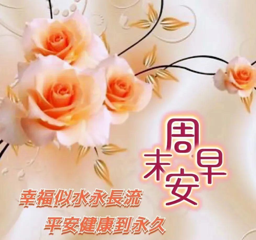 周末玫瑰芬芳，早安问候暖心！幸福似水流长，平安健康相伴，美好一天从心启程～分享