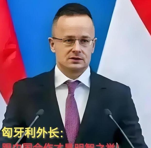 现在全欧洲最后悔的就是德国了吧！不是因为中国，也不是因为美国，而是因为匈牙利。