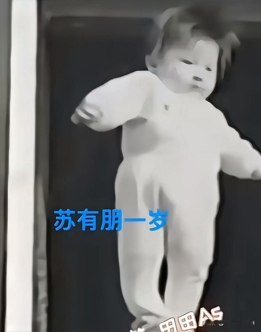 青苹果乐园火遍全国苏有朋一路颜值开挂年过半百依旧风华不减谁懂啊！苏有朋
