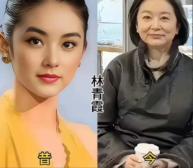 年轻时候的林青霞。年轻时候的陈红。年轻时候的蒋勤勤。年轻时候的林心如。年