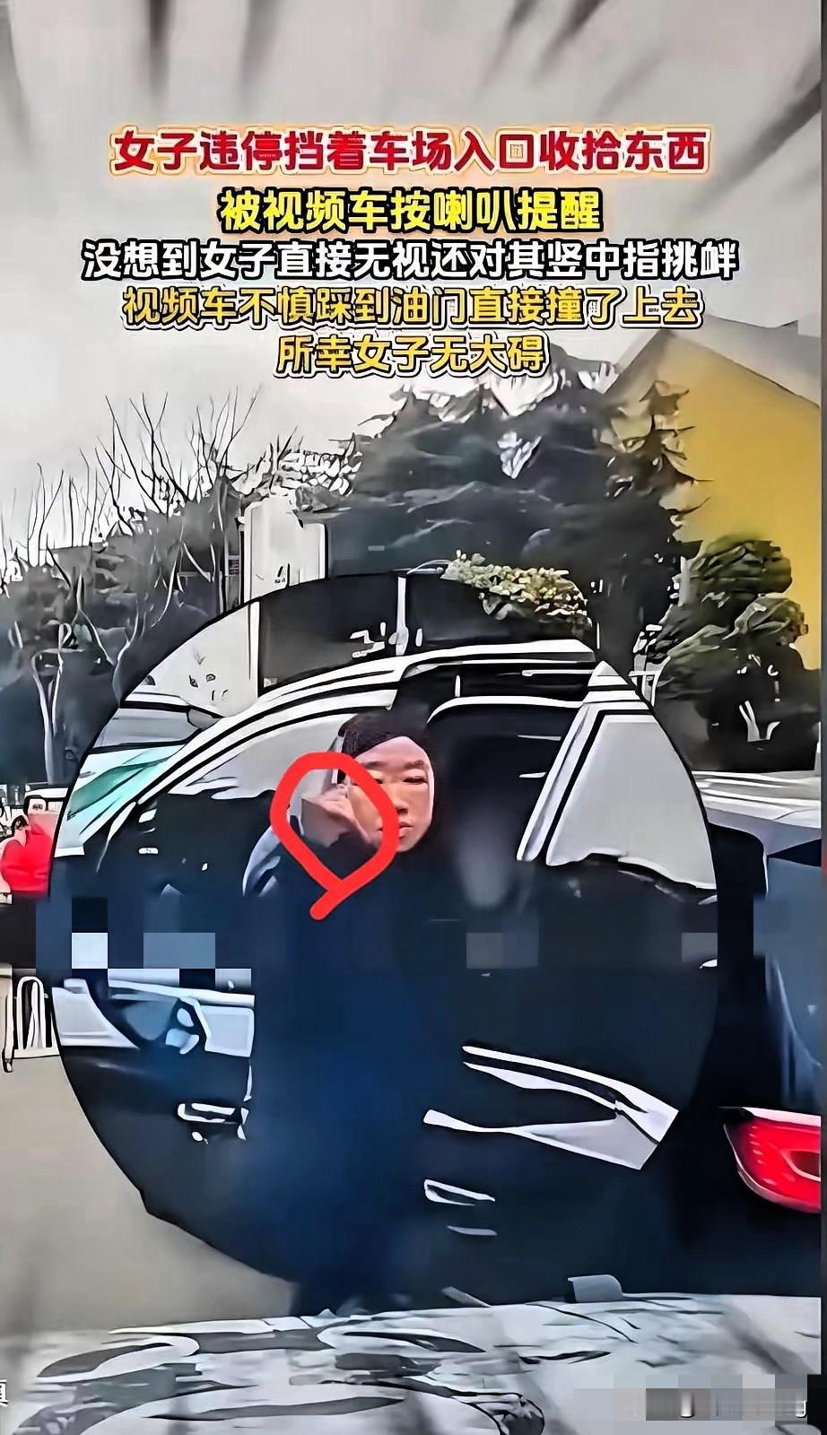 都刷到那个竖中指女司机了吧？扒完最新细节，越想越替她亏得慌。​据说后车压根没