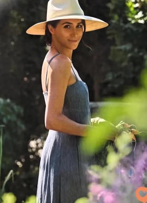梅根和哈里这对夫妇，近几日以来一直都没有出现在公众的视野当中，不仅如此，就连王室