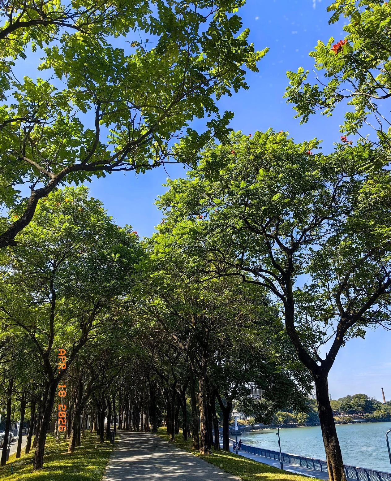 真心劝大家别过量喝酒！我舅今年66岁，喝了四十多年酒，酒量极大，有时候一天能