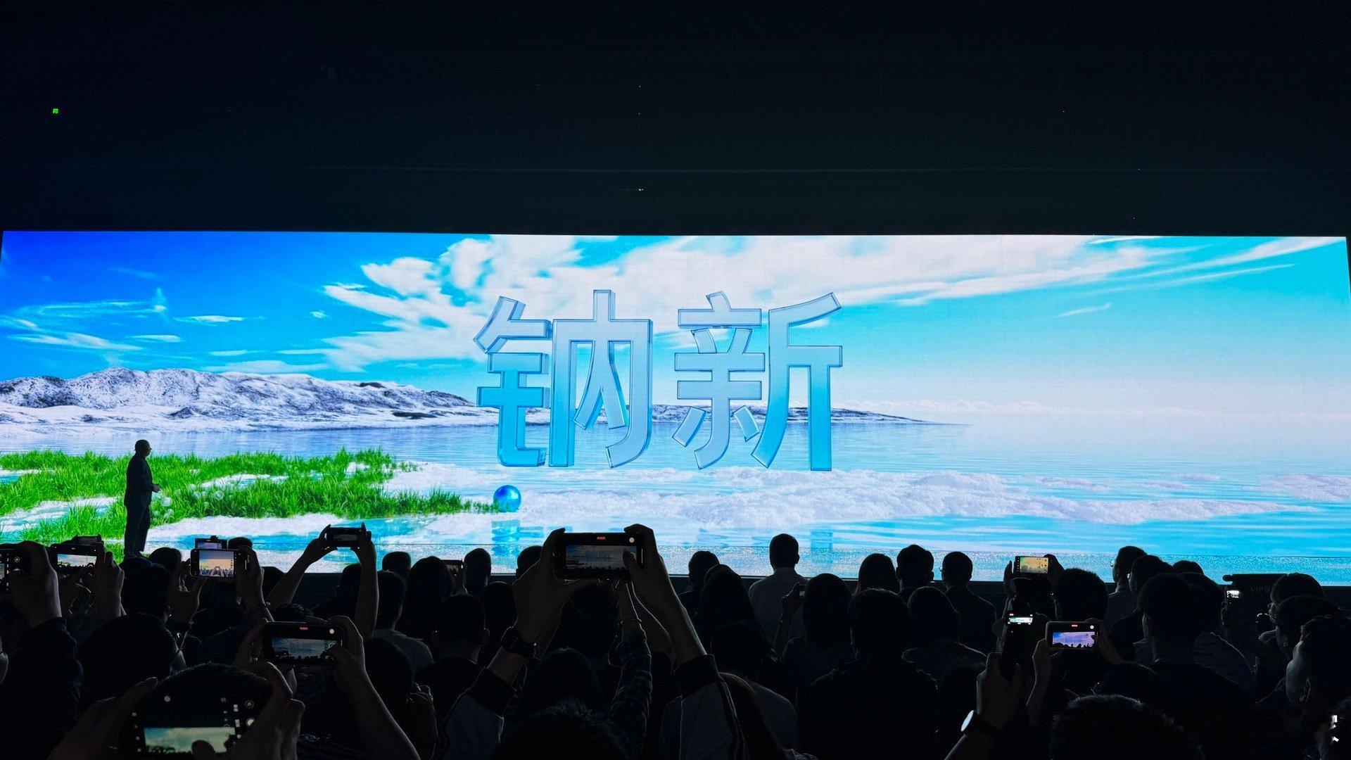 宁德时代钠电池定名-钠新！首款产品！24V的…卡车启动电瓶，替代铅酸电池…呃🤦