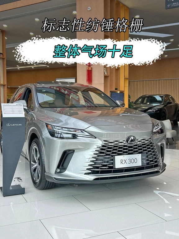 越看越有气质的SUV🚗