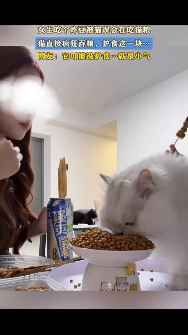 女生吃个炸豆被猫误会在吃猫粮，猫直接疯狂吞粮，护食这一块。网友：它可能没护食，