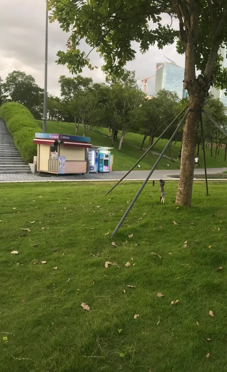 今天表姐问我，想不想去香港工作？说是酒店服务员，给14800港币一个月。每天得上