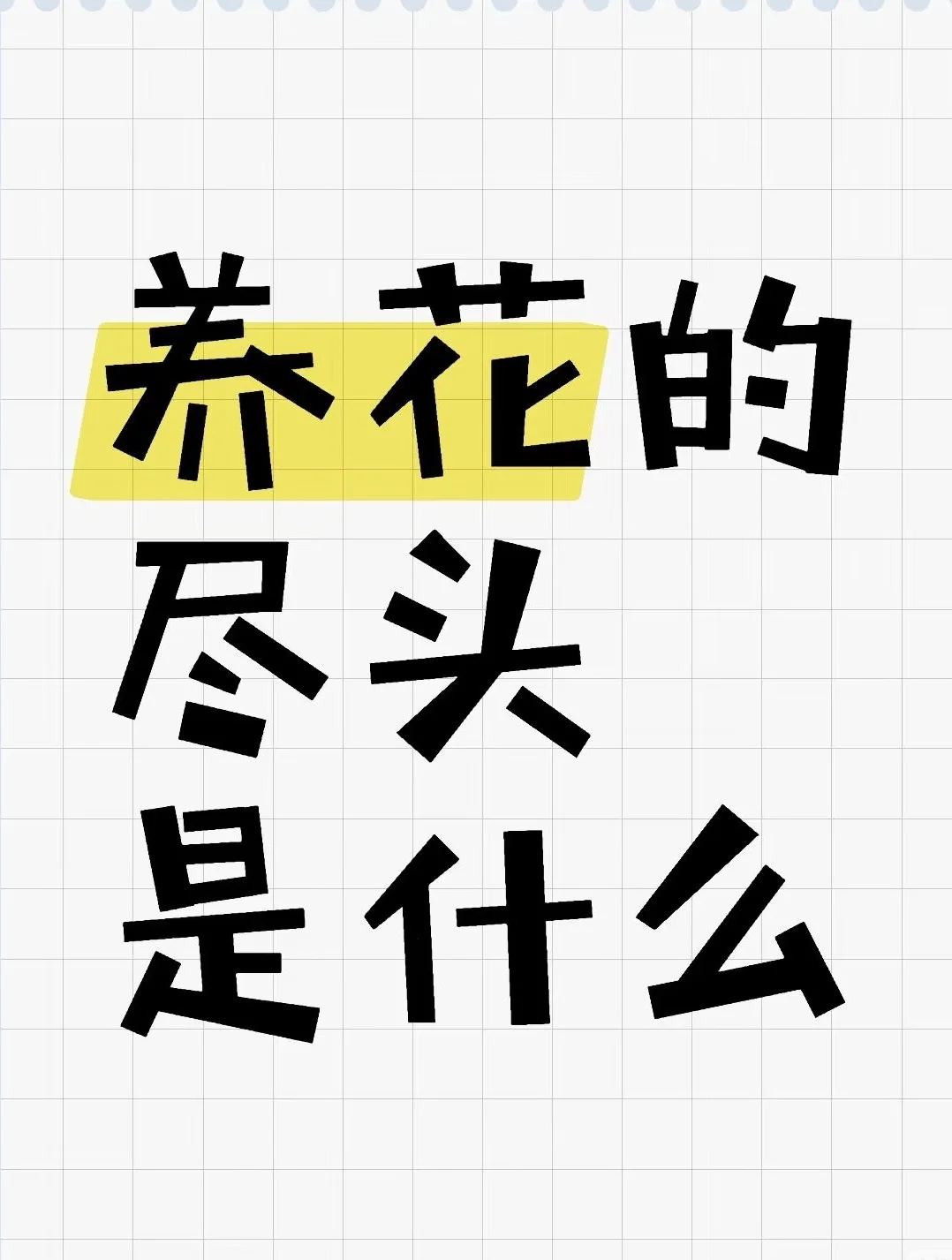 养花的尽头是什么？