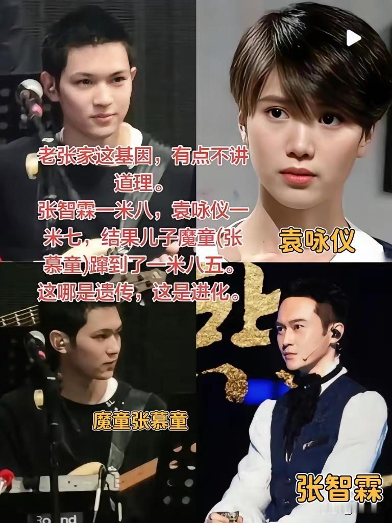有时候真的不得不感慨，基因这东西，确实有点不讲道理✨张智霖和袁咏仪，本身就