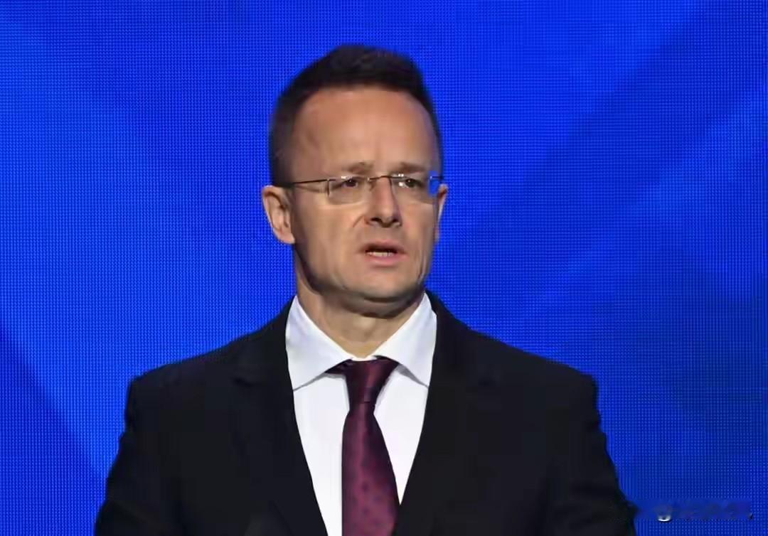 北约出现了一个“卧底”，把欧洲干的坏事，都告诉了王毅外长。这条说法在社交平