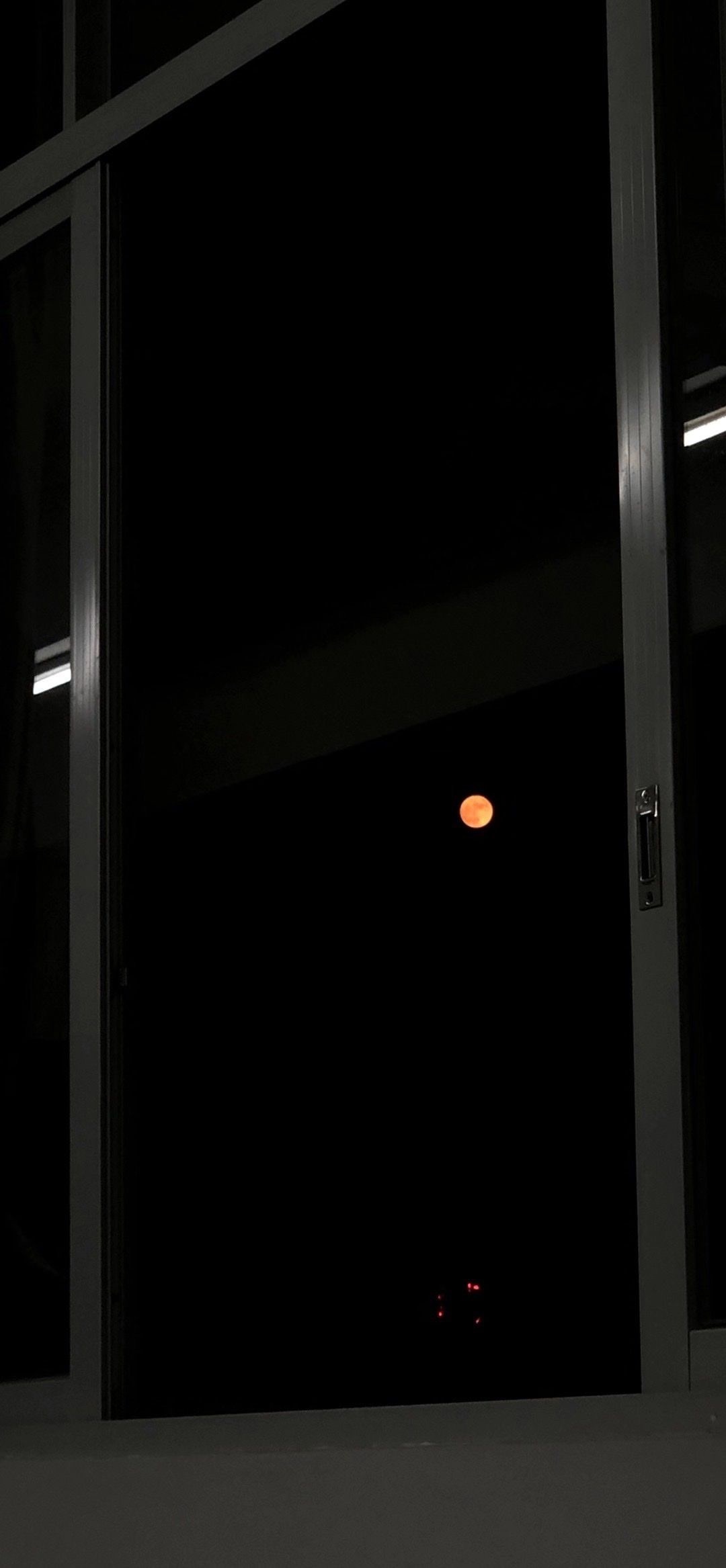 月夜冷淡风壁纸