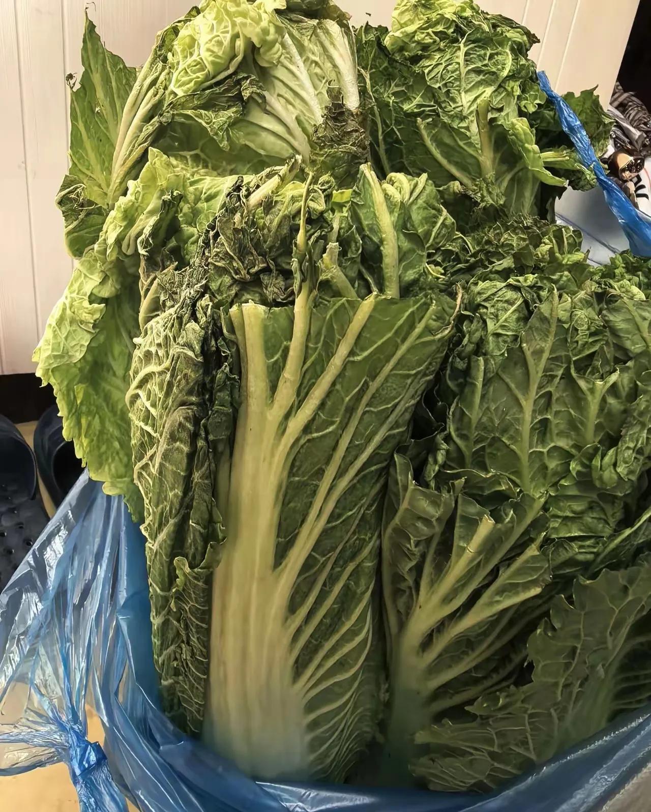 现在身边得癌症的人真的越来越多，难免让人心里发慌，难道真的是市面上的食物添加剂、