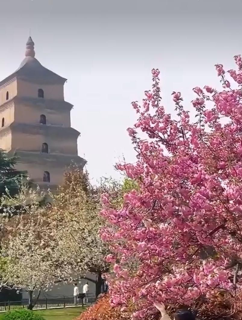 真心朋友說啥都行，人生有緣喝水也甜，心中親人無價之寶，牽掛的朋友最真誠。